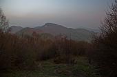 01_Colri nel bosco